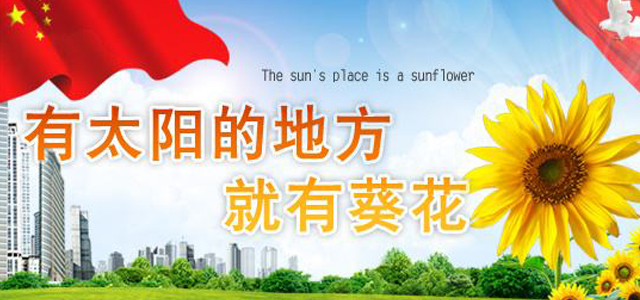 葵花药业集团医药有限公司 葵花药业集团医药有限公司
